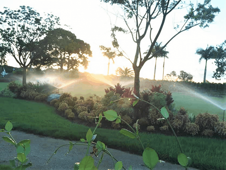 2-irrigation